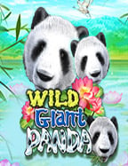 slot007 บน เว็บwm ฝาก 50 รับ 150 เล่นสนุกสุดขีด